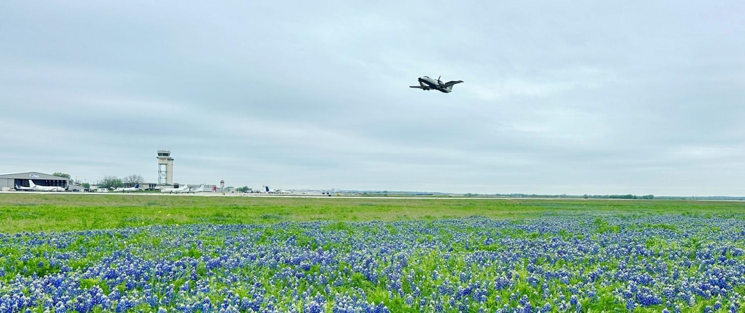 hero-bluebonnets-wide Wide airport runway scene with Texas bluebonnets