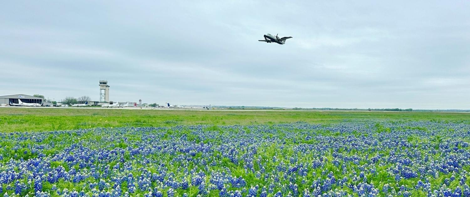 hero_e15f_bluebonnets